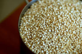 a quinoa hátrányai