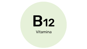 b12 vitamin